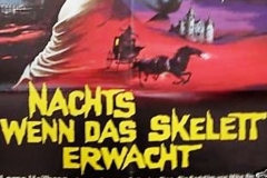 Nachts-wenn-das-Skelett-erwacht_2