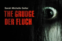 fluch_the_grudge